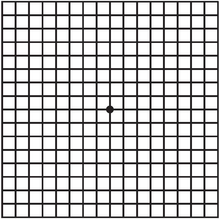 mueller_welt_kontaktlinsen_grafik_amsler_gitter