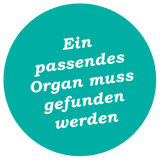 Mueller-Welt-Keratoplastik-05