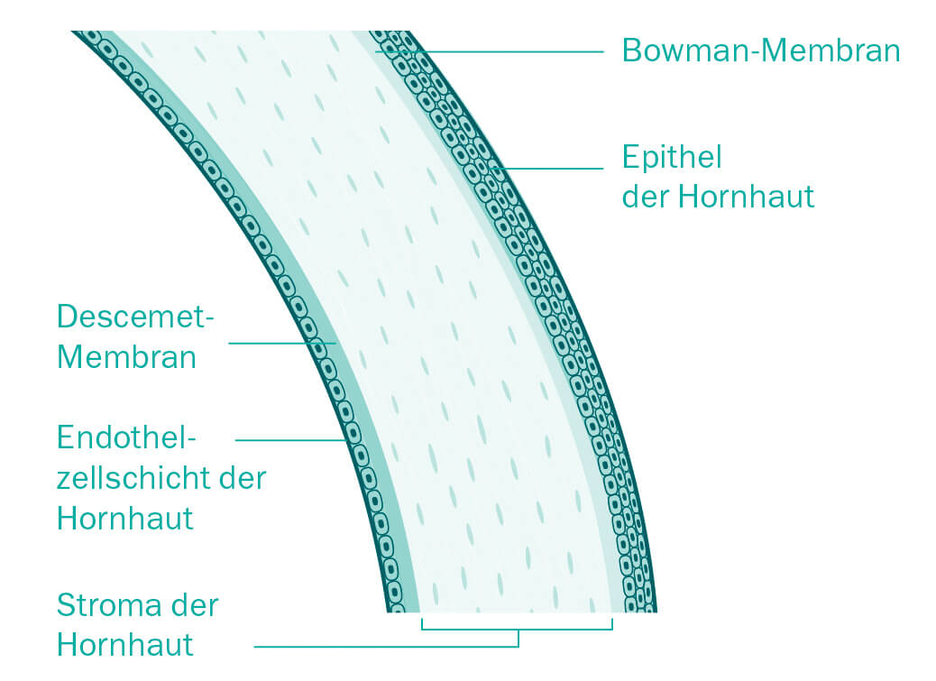 Illustration Aufbau der Hornhaut