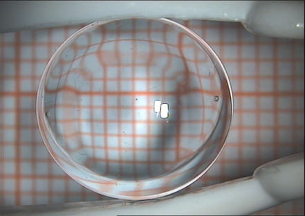 quadrantenspezifisch_Optik
